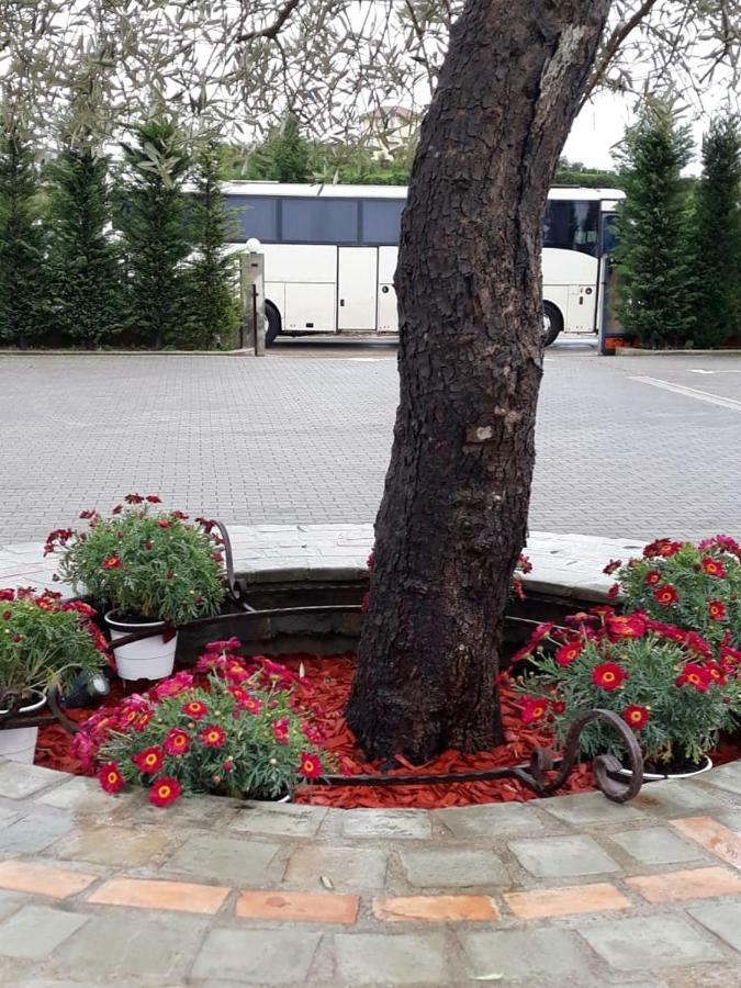 Drini Hotel Rrashbull Buitenkant foto